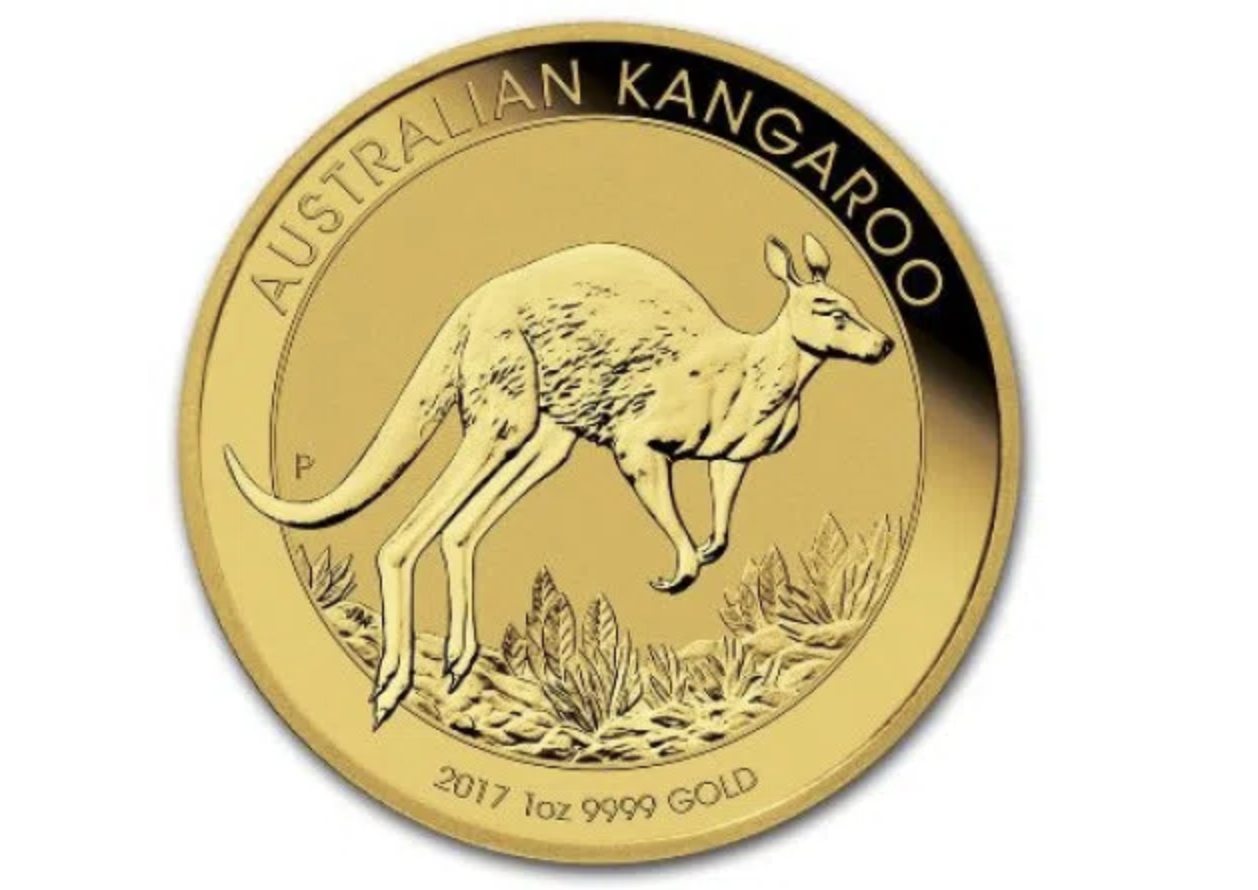Australian Kangaroo