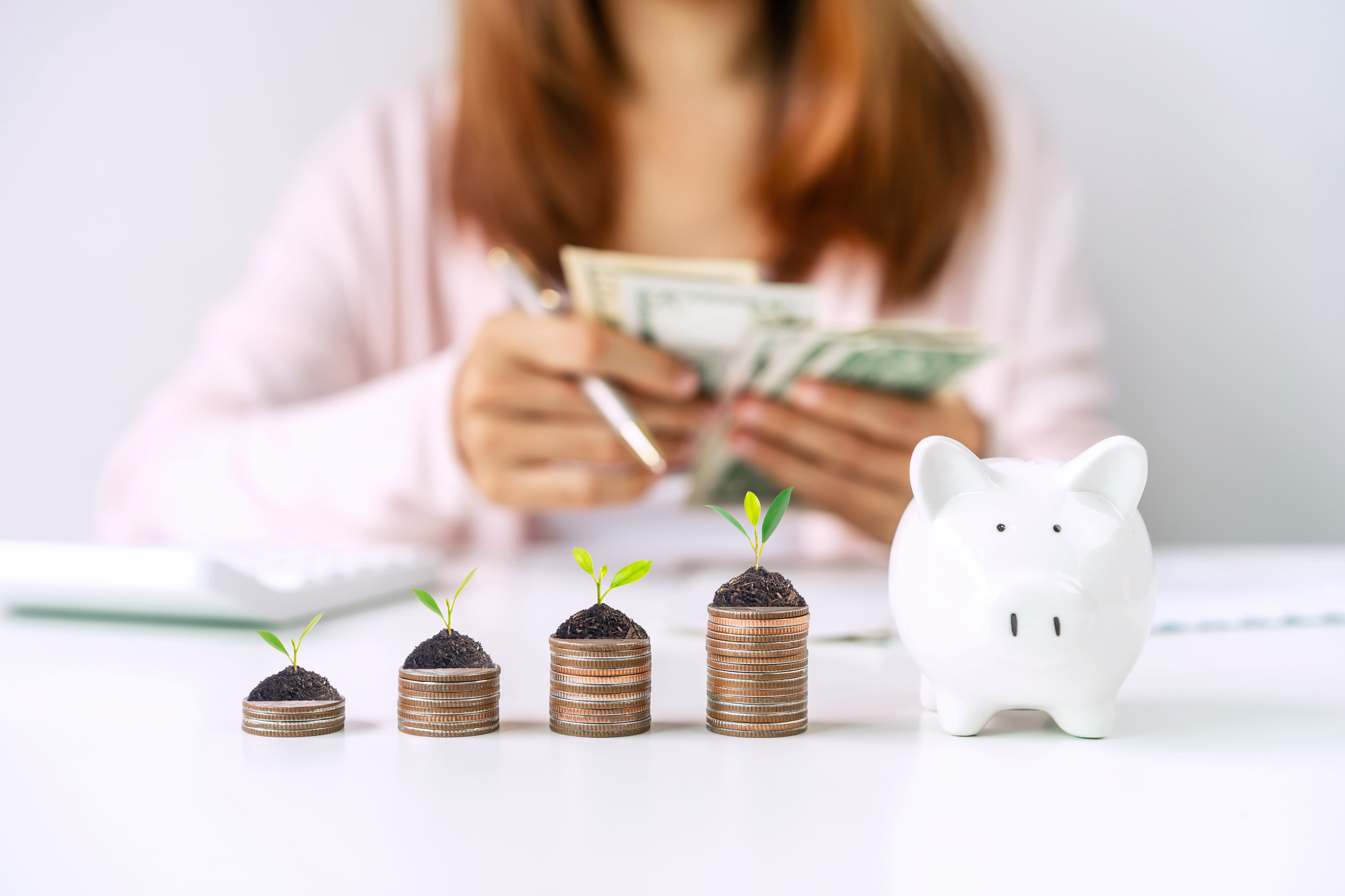 Unlocking Financial Security with Indigo Gram Savings