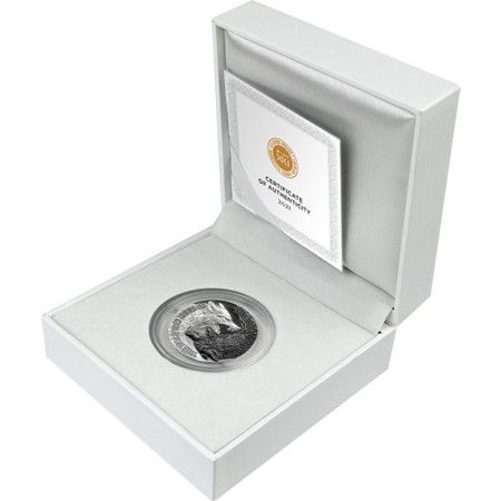 Image of 1 Oz Niue Two Wolves Silver Antique Coin 2021 .999