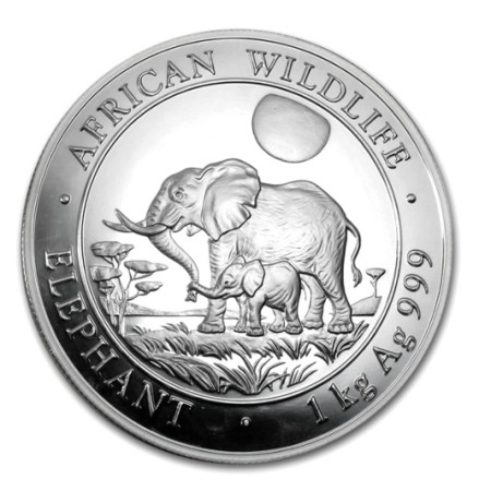 Image of 2011 Somalia 1 Kilo Silver Elephant coin BU