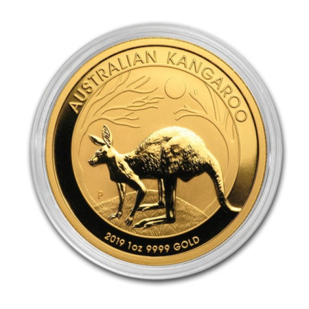 1 Oz Gold Kangaroo Gold Coin BU 2019 Image of 1 Oz Gold Kangaroo Gold Coin BU 2019