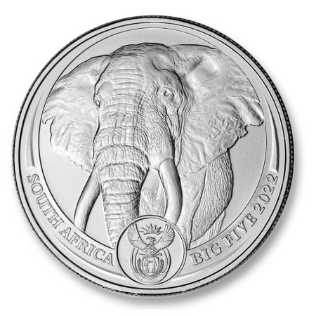 2022 1 oz South African Platinum Big Five Elephant Coin (BU) Image of 2022 1 oz South African Platinum Big Five Elephant Coin (BU)