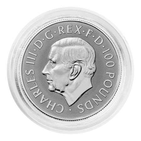 Image of 1 Oz Tudor Beasts - Dragon Platinum BU Coin 2024 | PRE-ORDER (ETA mid-Feb)