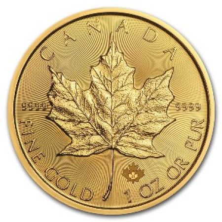 Image of 1 Toz Canadian Gold Maple Year 2016