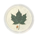 Image of 1 Oz Colorized Maple Leaf Silver Coin (Various Years)