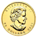 Image of 1 Toz Canadian Gold Maple Year 2007 - In Circulated Condition