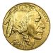 Image of 1oz American Buffalo Gold Coin 2008