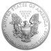 Image of 1 oz USA Eagle .999% Fine Silver Coin 2013 