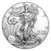 Image of 1 oz USA Eagle .999% Fine Silver Coin 2015