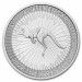 Image of 1 Oz Australian Kangaroo .9999% Fine Silver Coin 2022