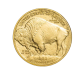 Image of 1oz American Buffalo Gold Coin 2021
